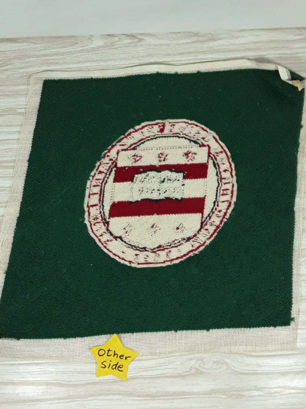 Vtg Washington Univ St Louis Rug 21